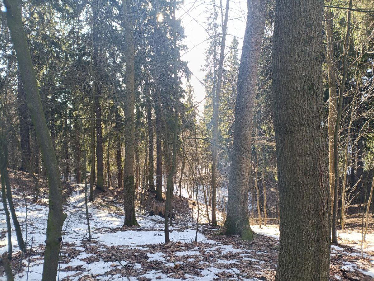 Проход к весне. Фото.