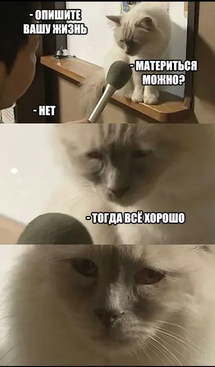 Жизненная
