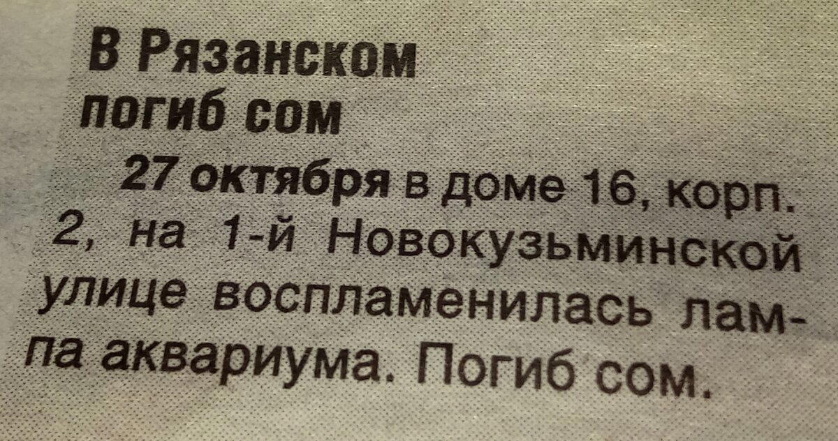 В это трудно поверить...