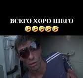 Ивент вомбата. Обзор недели со словом ПРИЯТЕЛЬ