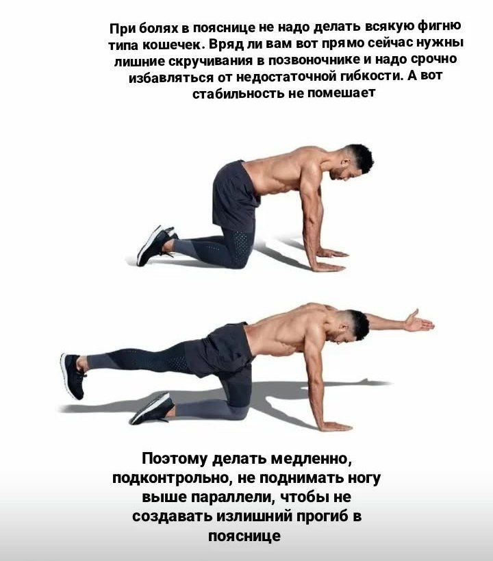 Рехаб спины