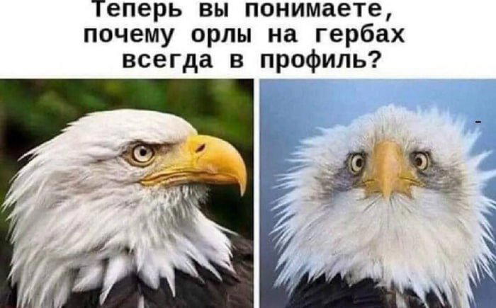 Из просторов, так сказать...