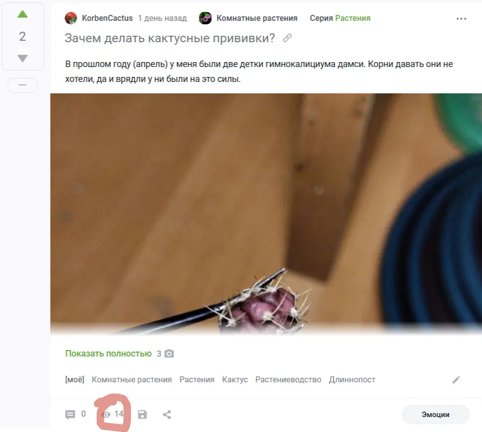 Пикабу = контора пи*арасов