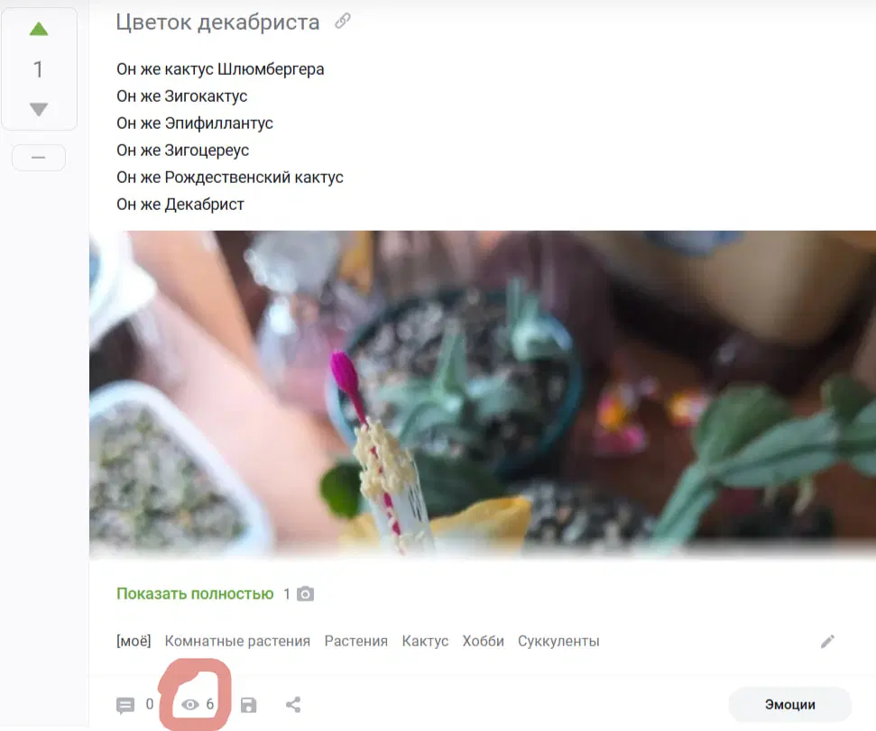 Пикабу = контора пи*арасов