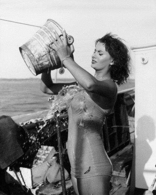 Sophia Loren..