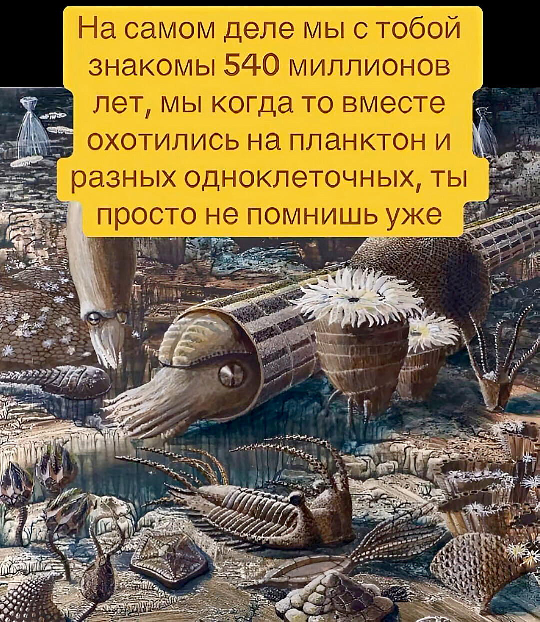 Из просторов бескрайних бояны к нам летять...
