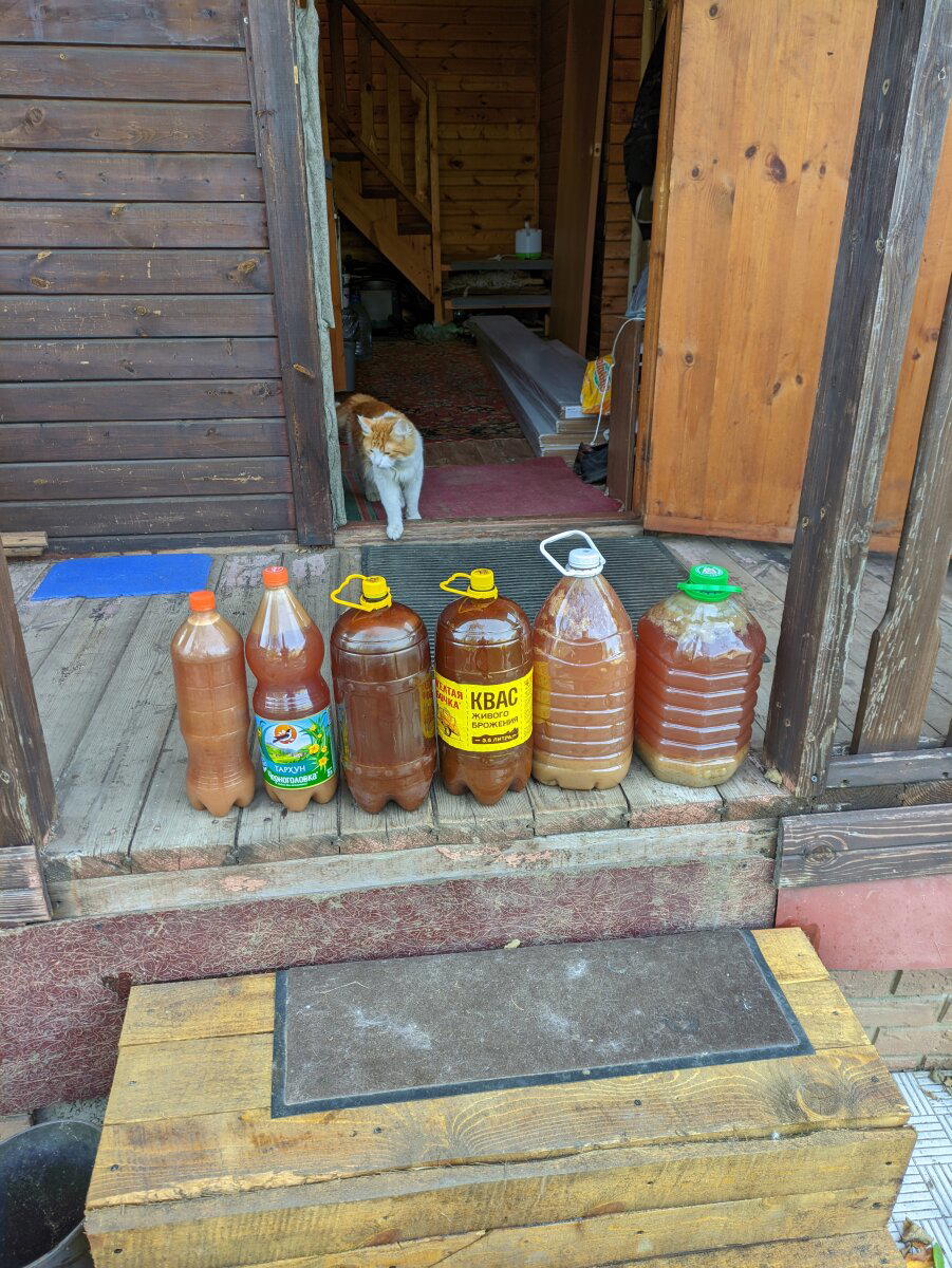И так каждый день