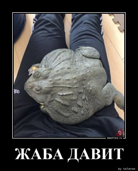 Ивент вомбата. Итоги недели со словом ДАВЛЕНИЕ