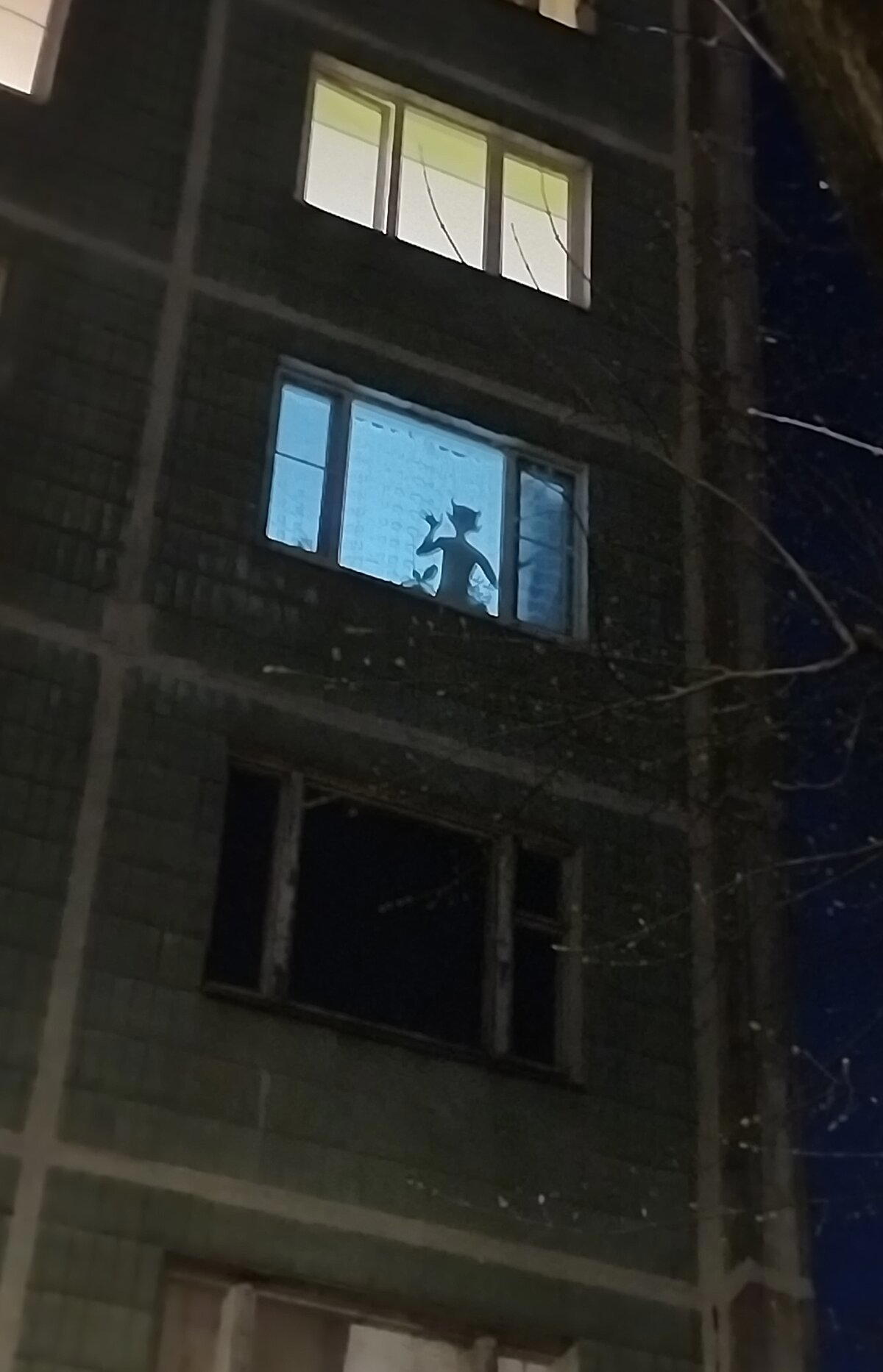 Надеюсь, эта щтука в окне не меня приветствовала...