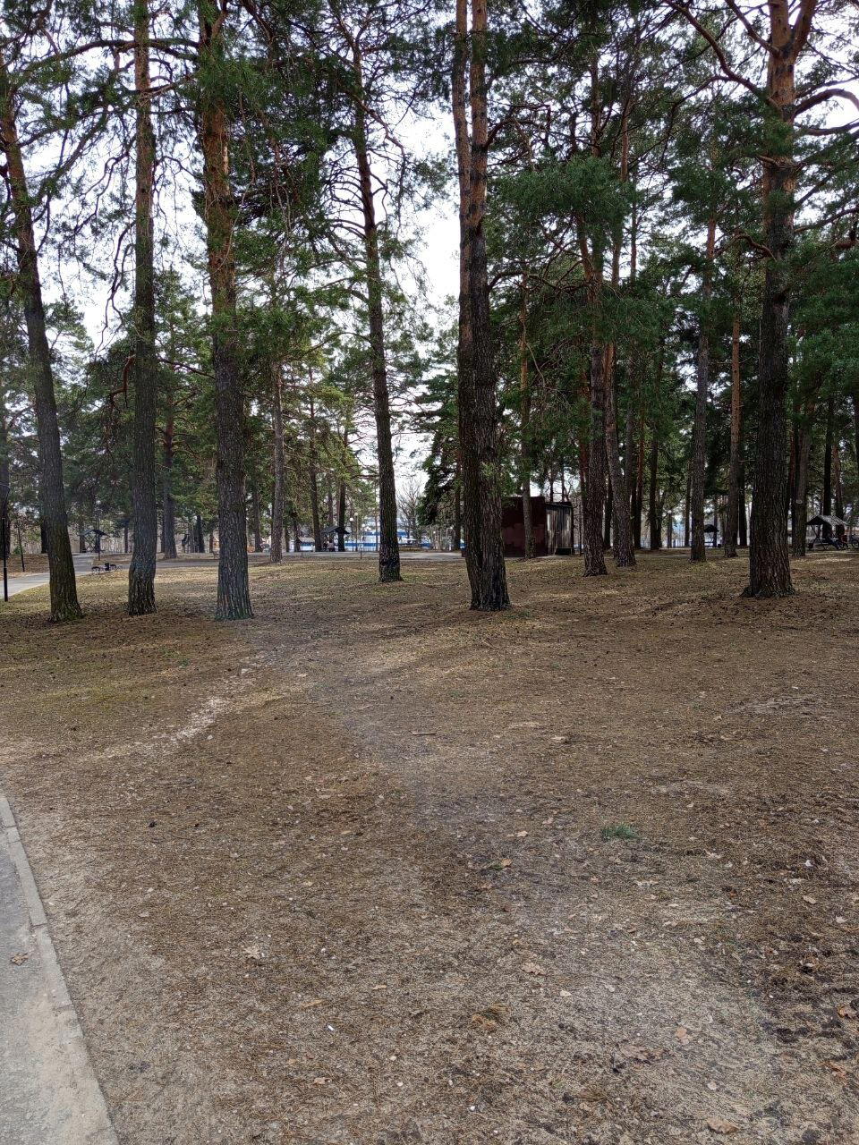 Парк в городе Озёры. Ну тут и правда красиво. Базара нет