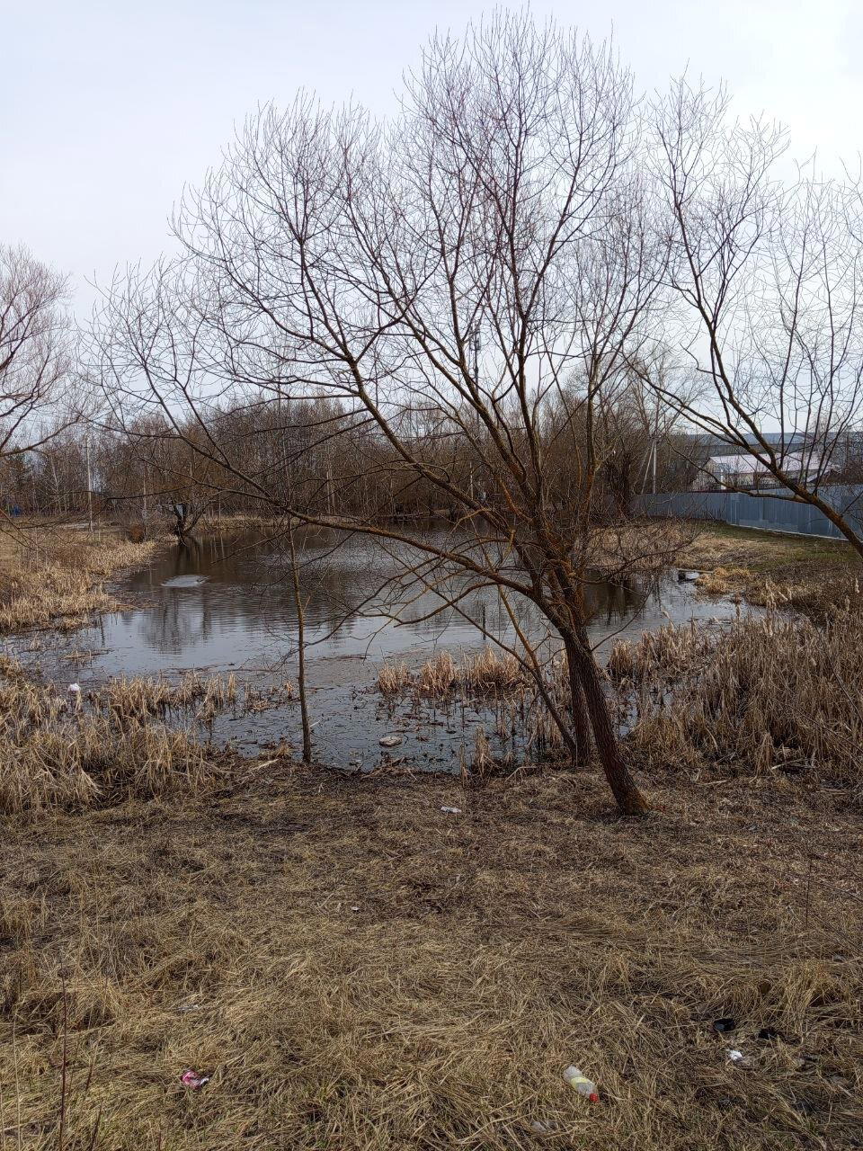 Красота номер 5