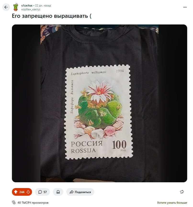 Футболка с кактусом, который нельзя называть