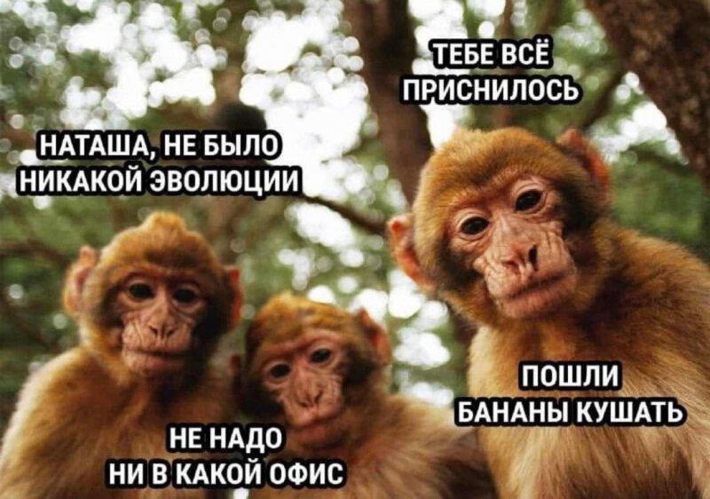 УТРЕННЕЕ
