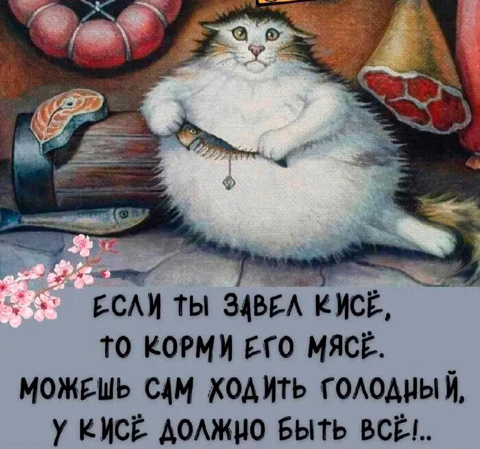 С просторных просторов