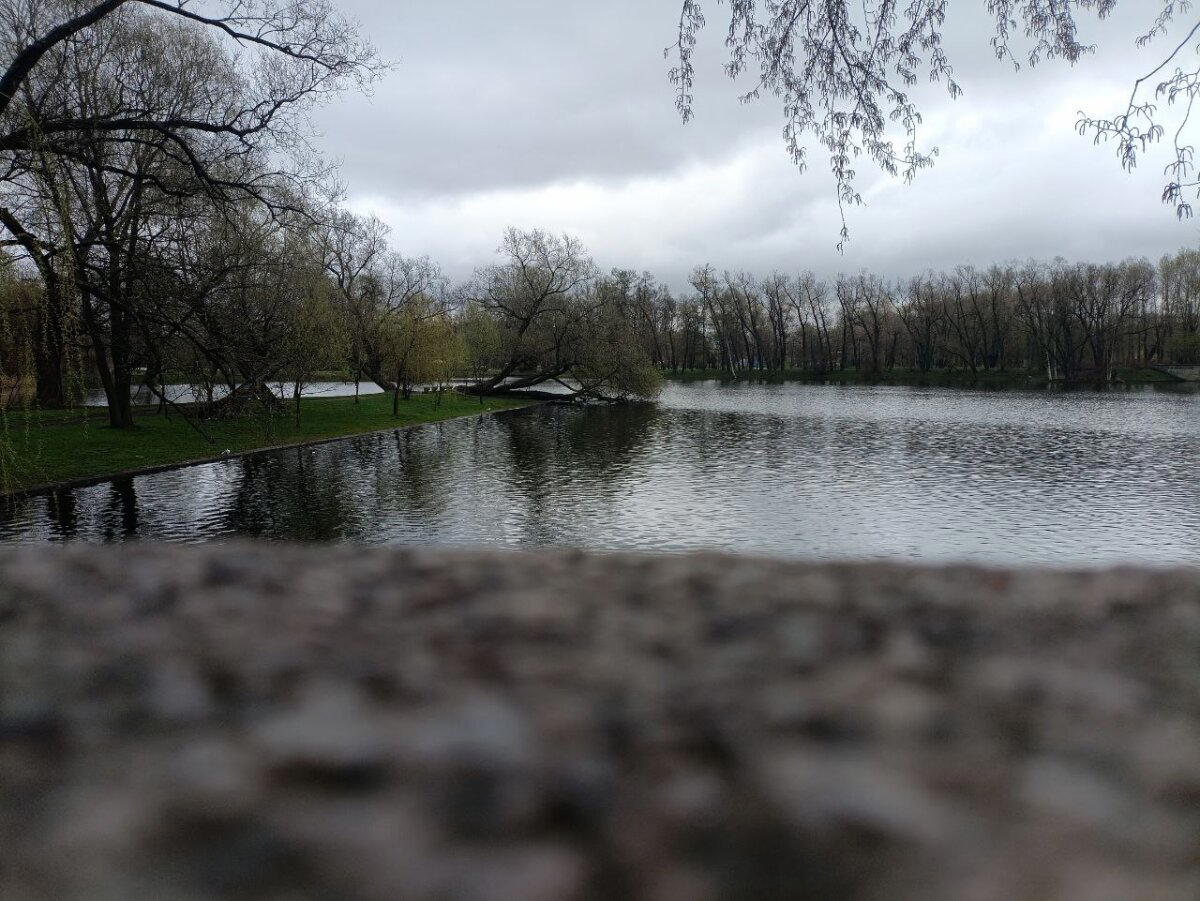 Купаться запрещено! Фото.