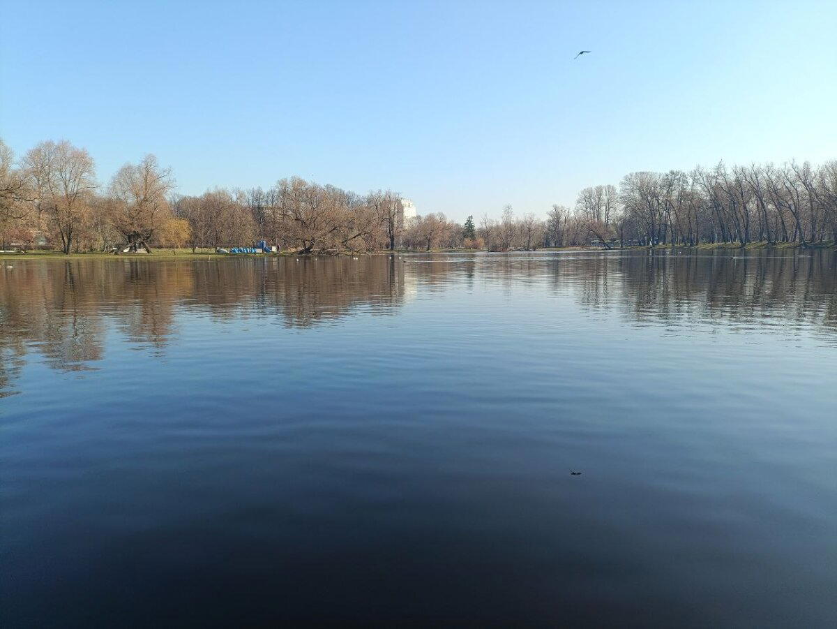 Купаться запрещено! Фото.