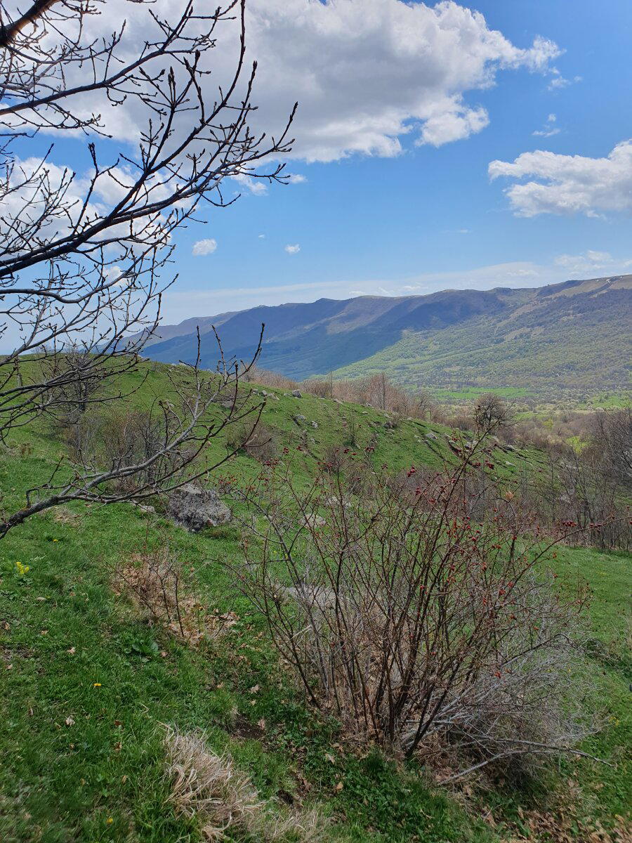 Мегалиты Гохнари
