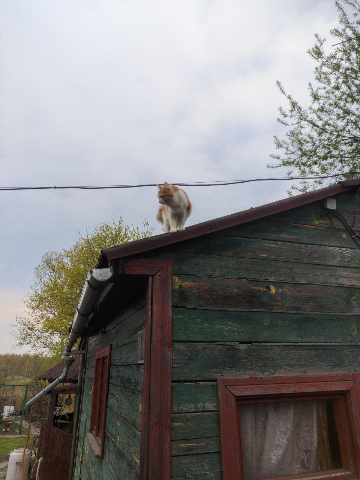 Вот какого х... ты туда залез?