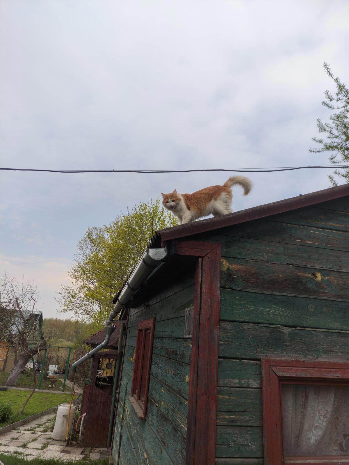 Быстрее, мне страшно тут