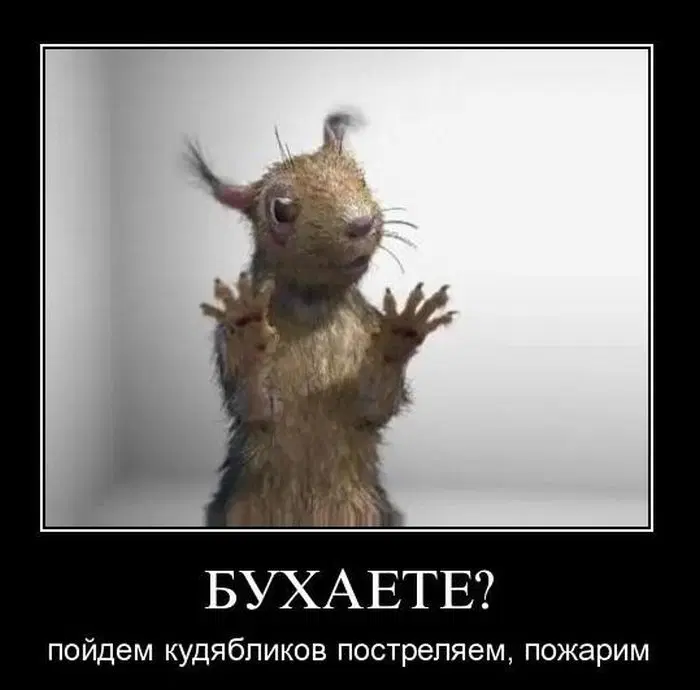 Ещё один Генерал.