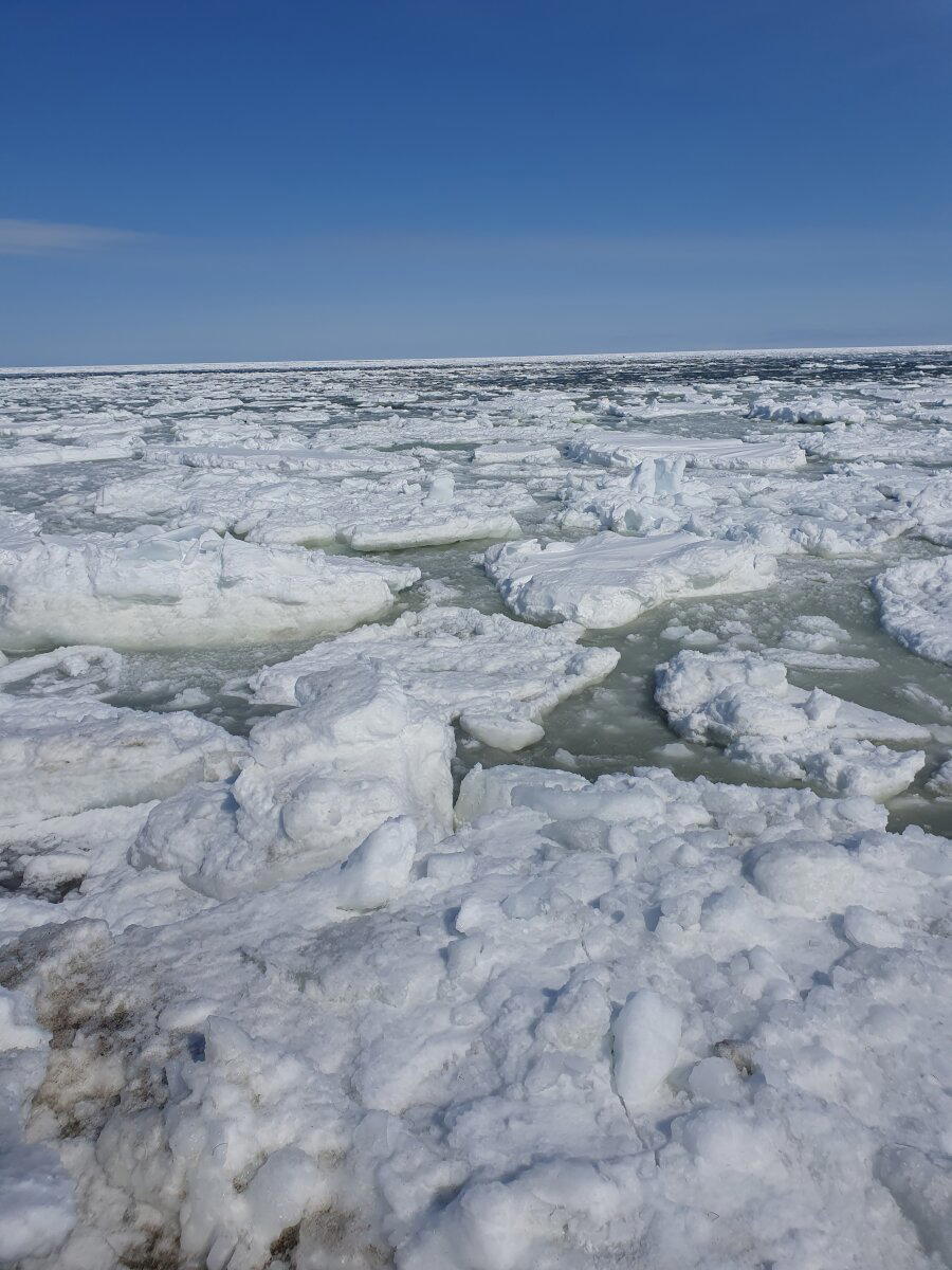Охотское море и Сахалин в марте