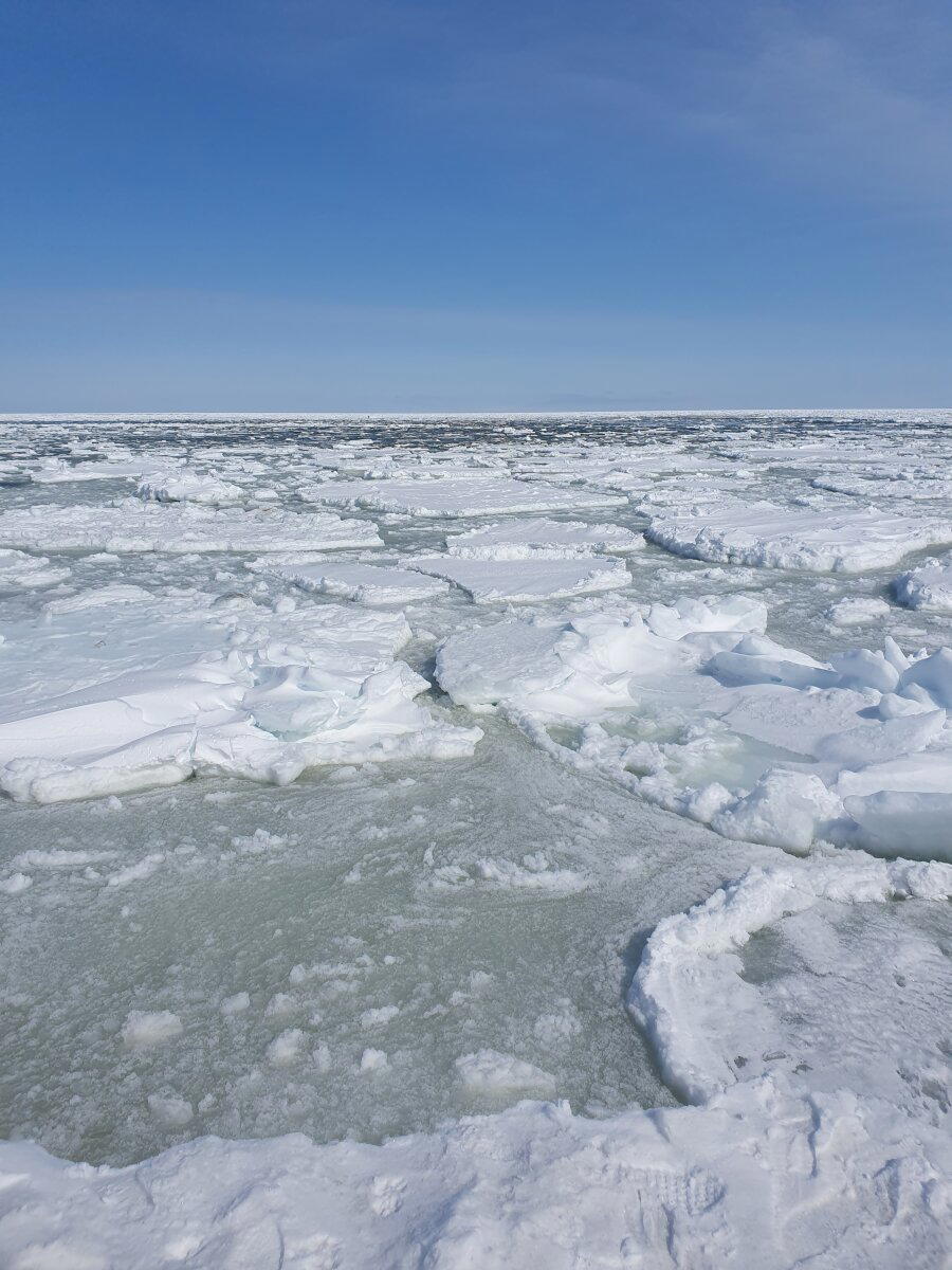 Охотское море и Сахалин в марте