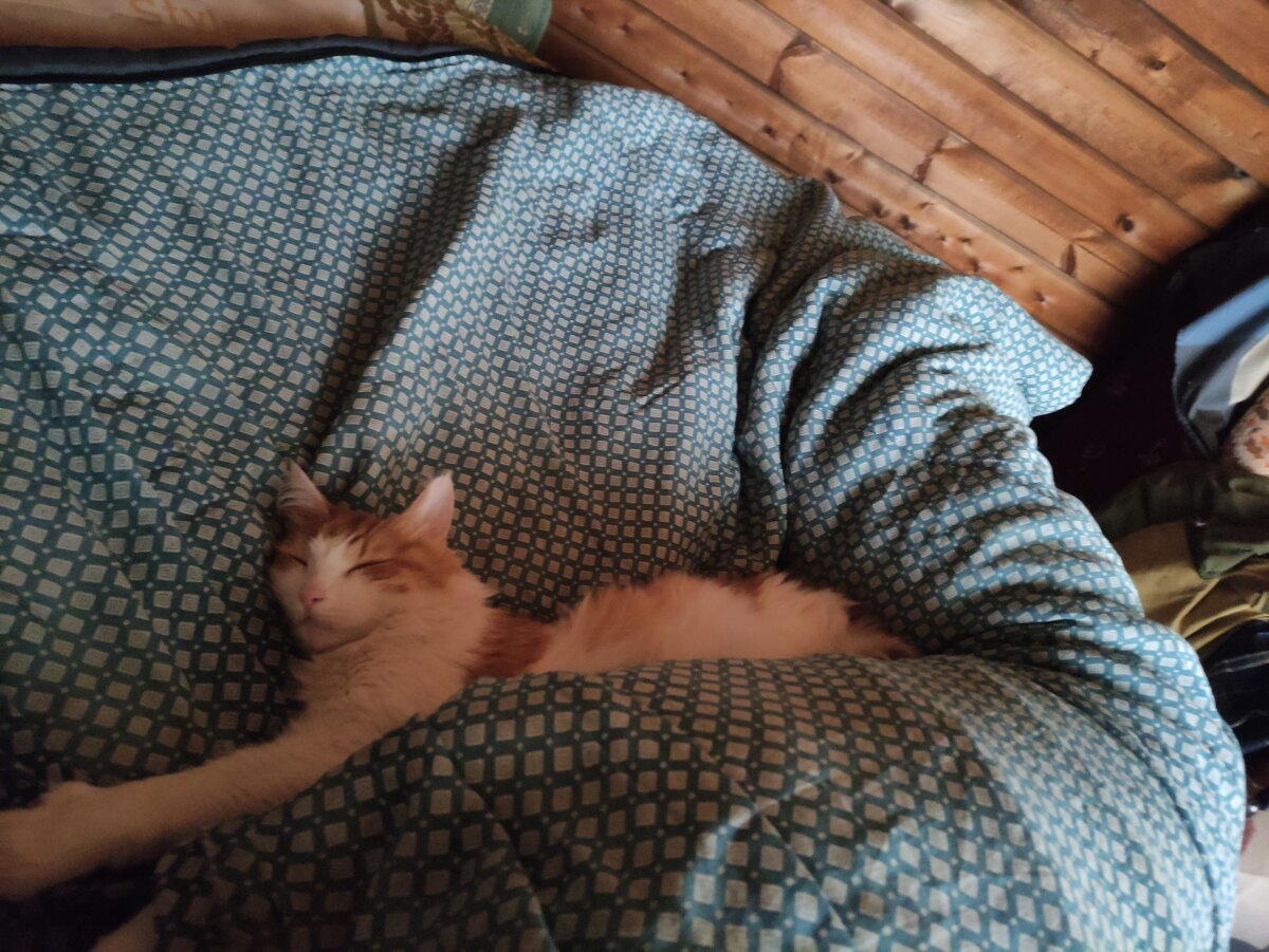 Попогрейка