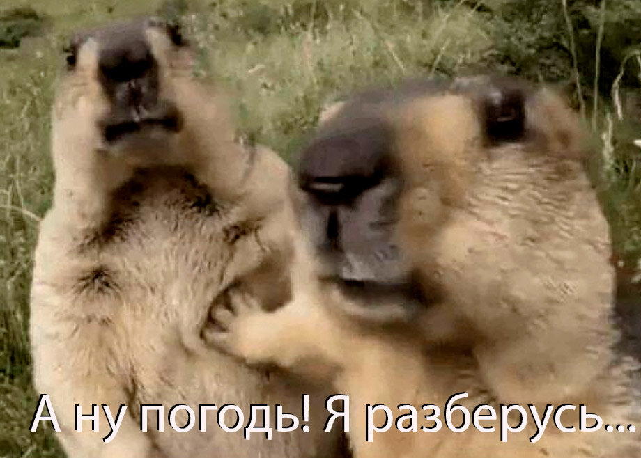 Вот, придумал подпись. Варианты будут ещё? ;)