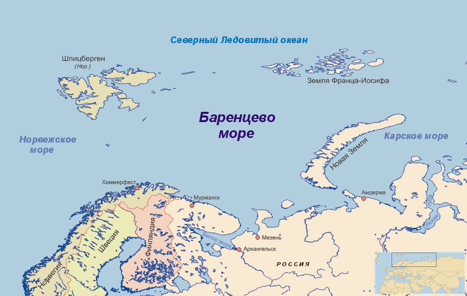 Камчатский краб (Paralithodes camtschaticus)