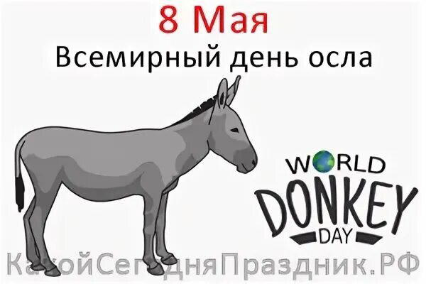 Всемирный день осла