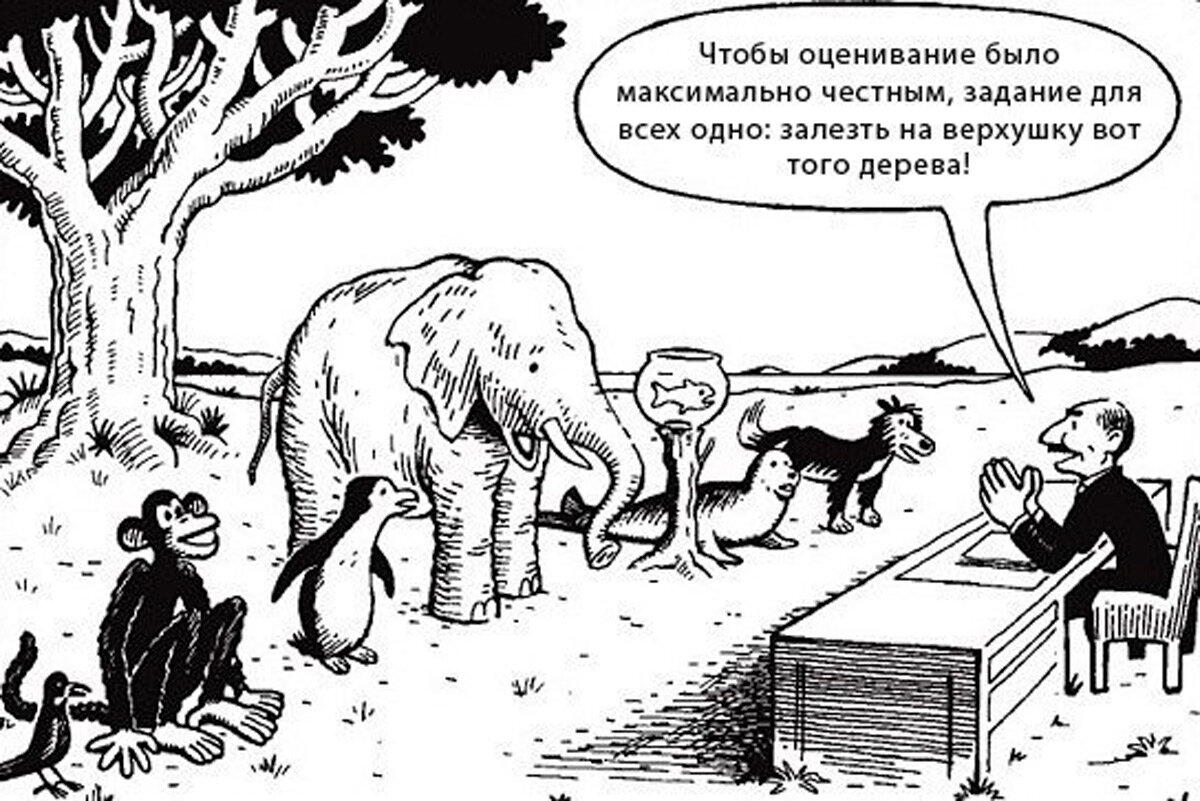 С просторов, так сказать..