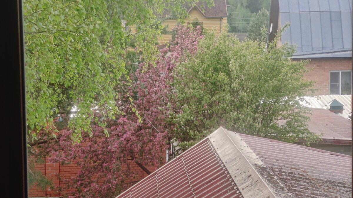 Ещё немного кошек и жизни сельской