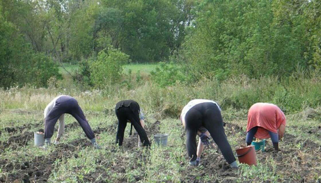 За посадками и в ивенте поучаствовать не досуг