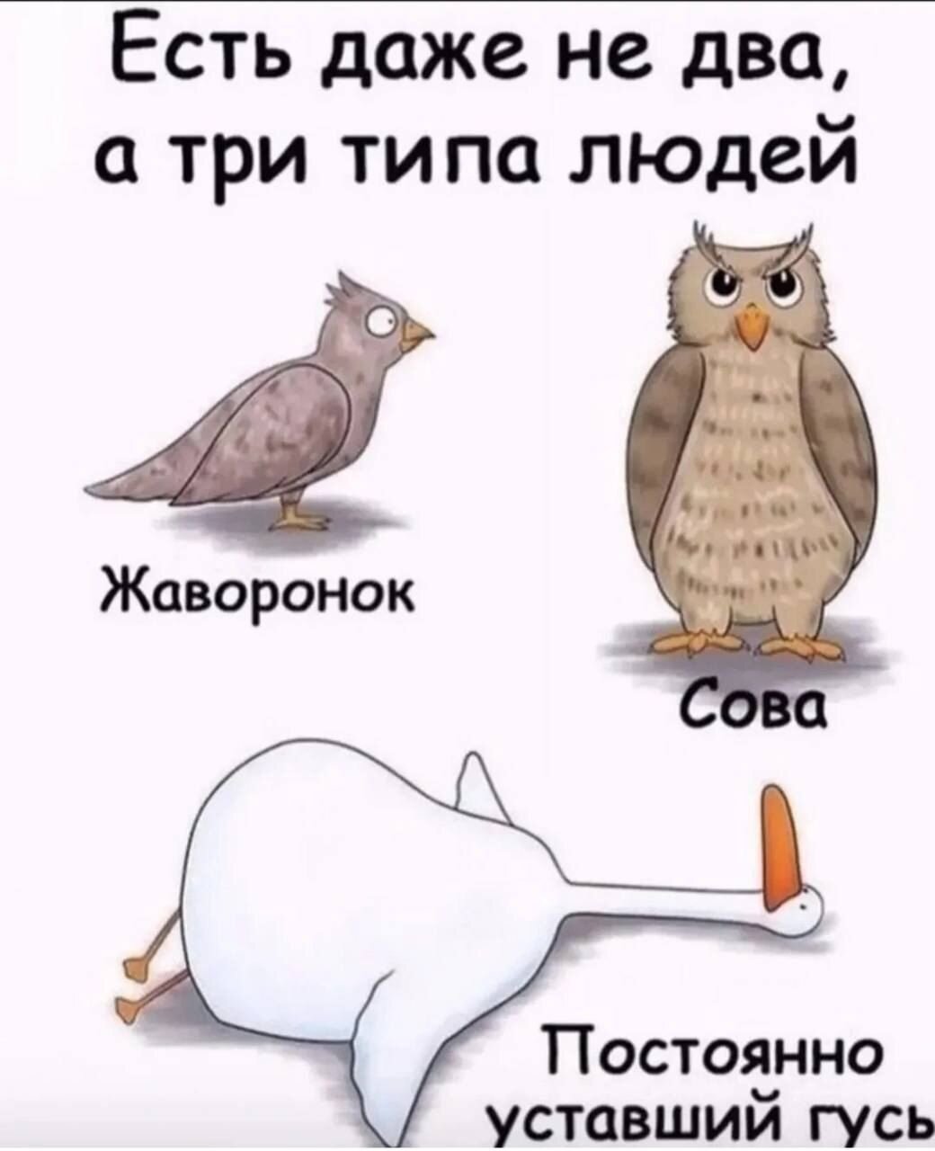 Правда жизни