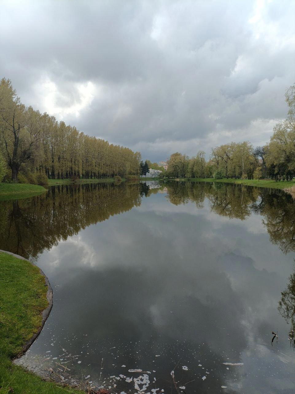 Вода, трава и голуби. Фото.