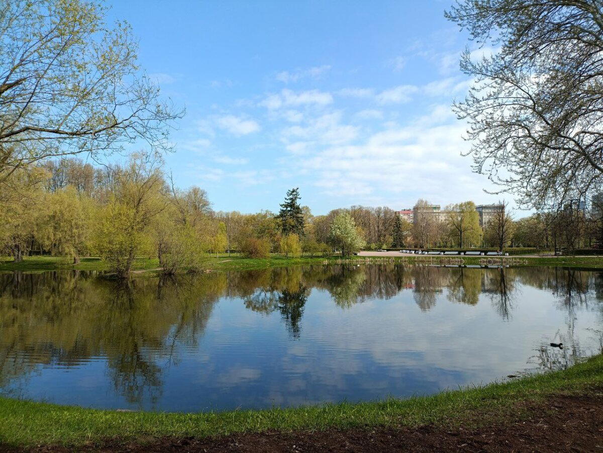 Вода, трава и голуби. Фото.