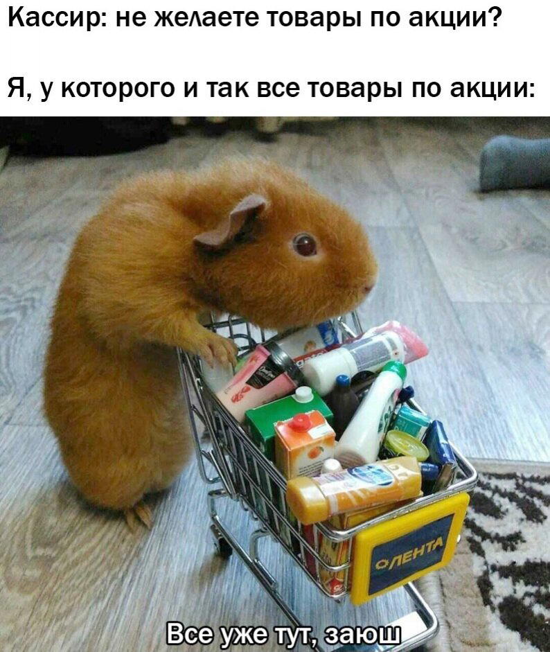 Коротко о моих покупках