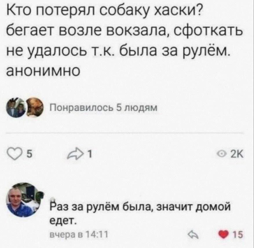 Ох уж эти хаски...