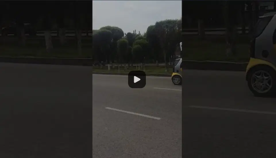 Ивент Вомбата. Слово недели - транспорт.