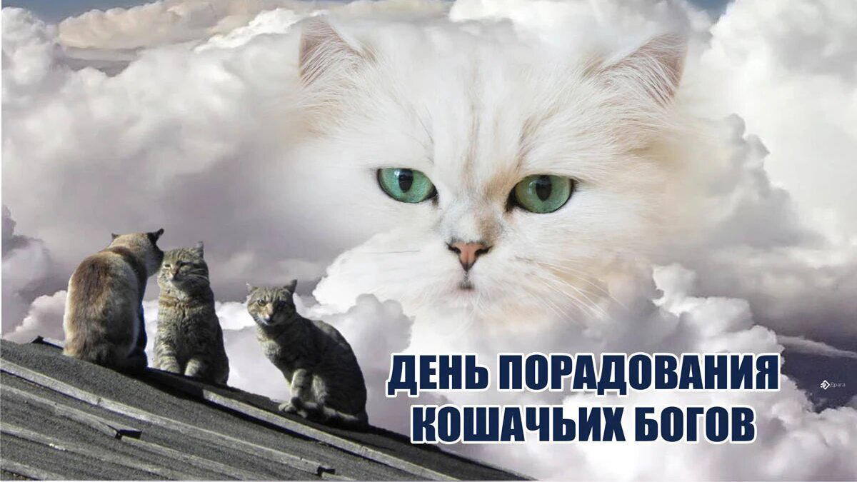 День порадования кошачьих богов