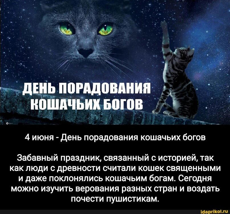 День порадования кошачьих богов