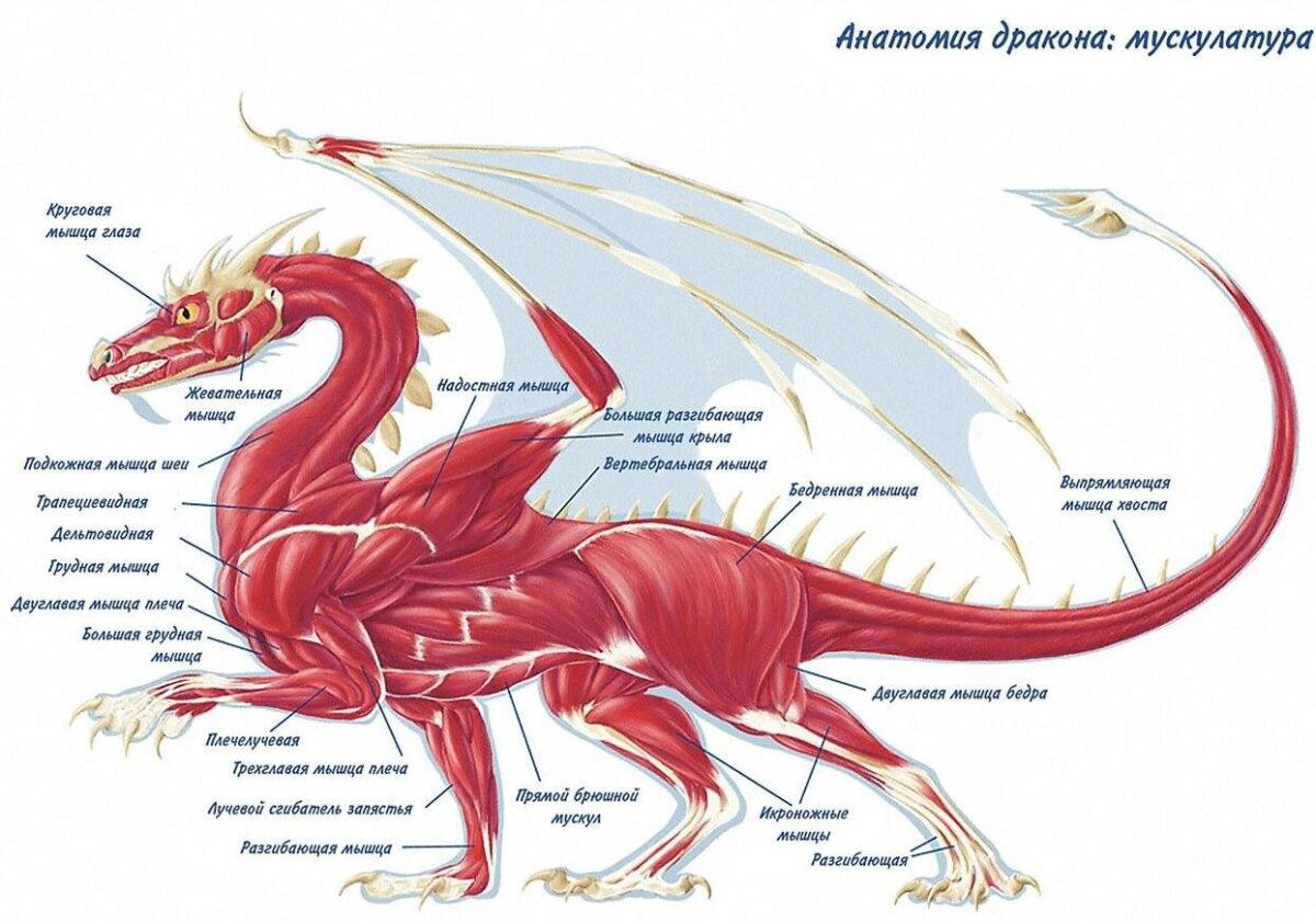 День рисования драконов