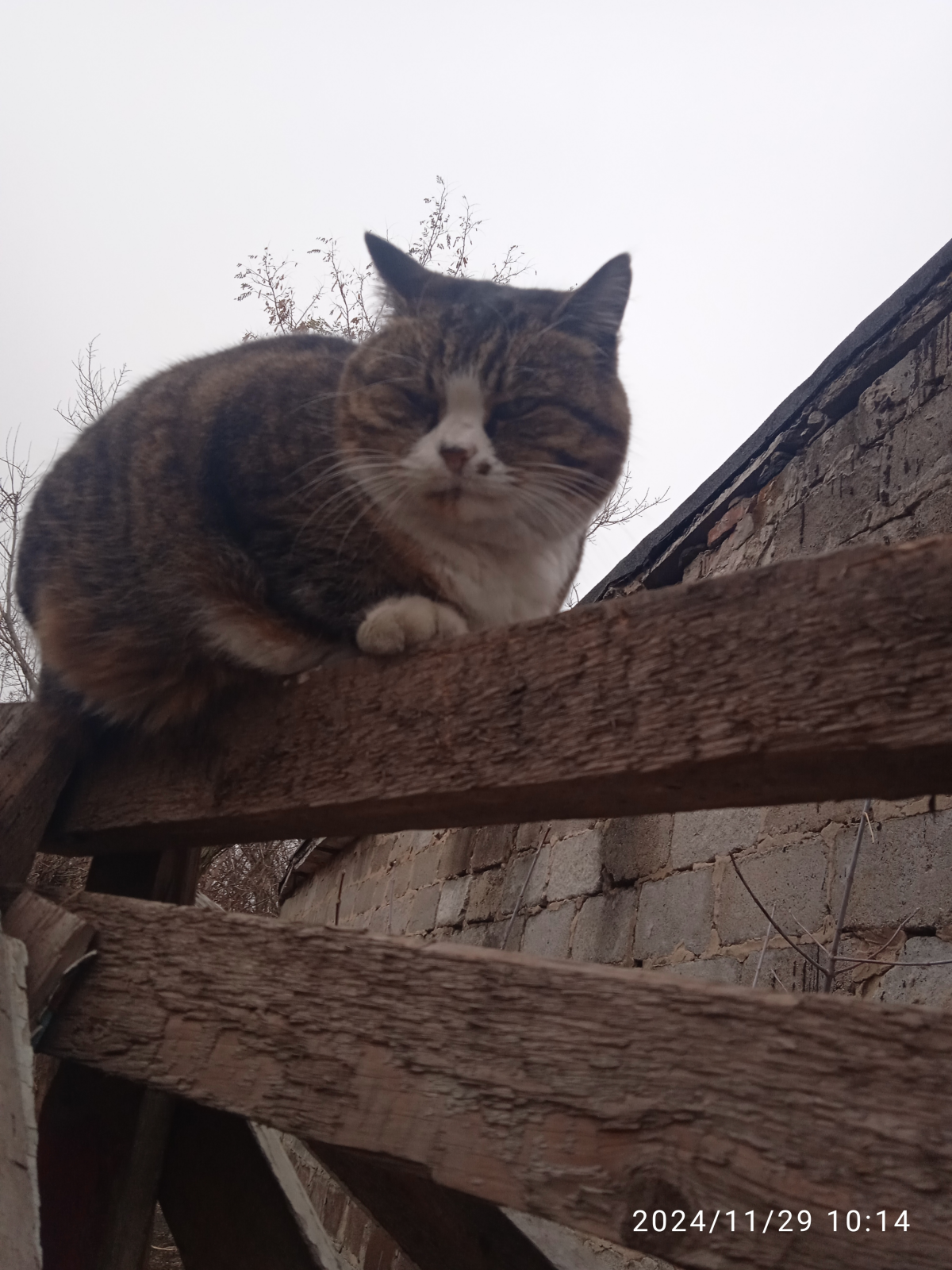 Просто очень не люблю людей