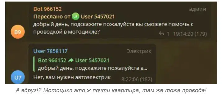Ивент Вомбата. Слово недели - Пиво