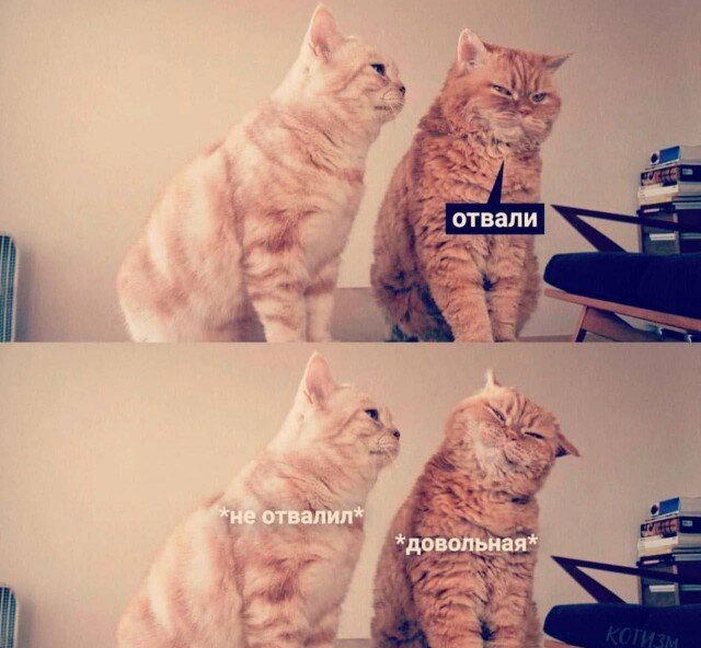 На вторник