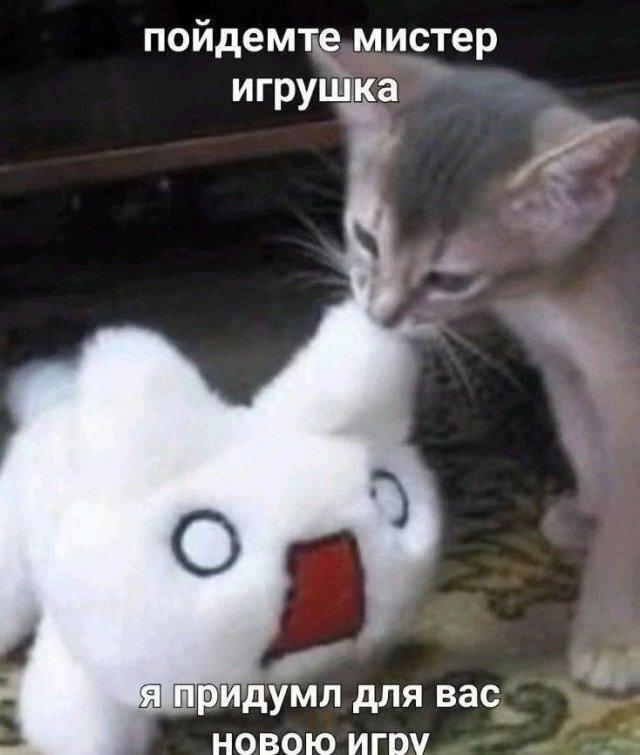 На вторник