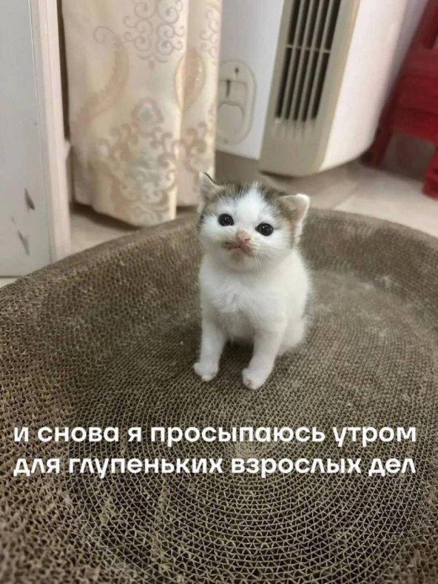 На вторник