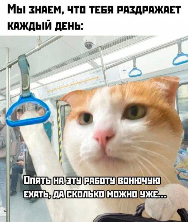 Баянко