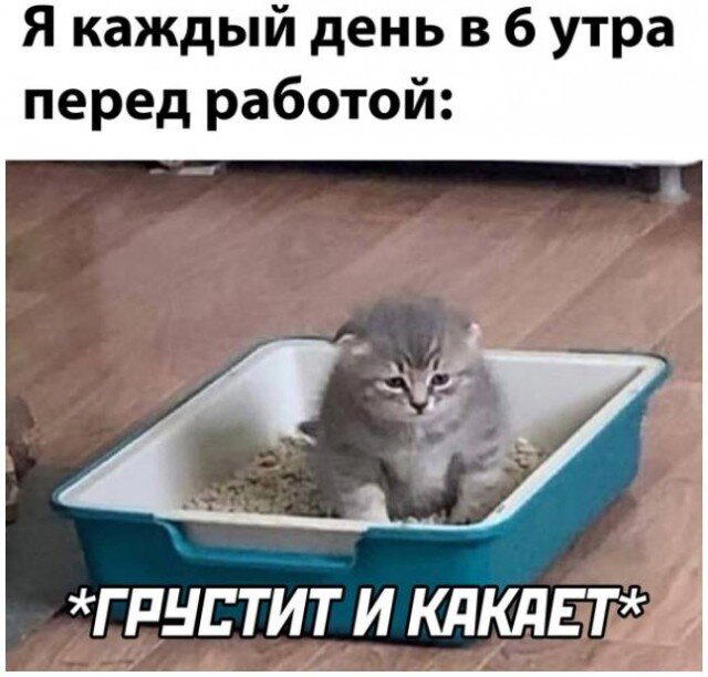 Баянко