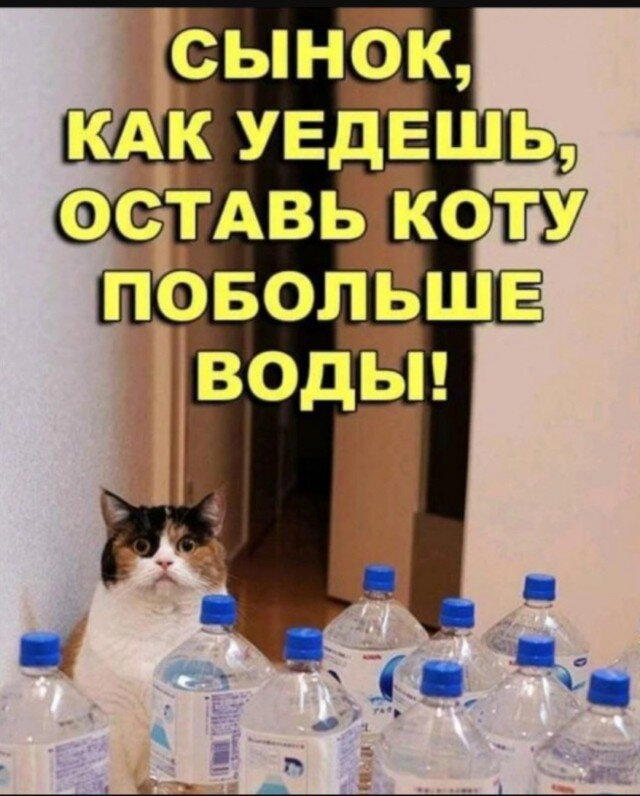 Баянко
